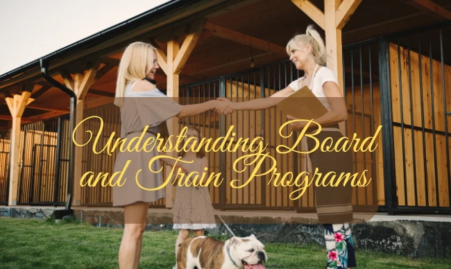 Understanding Board and Train Programs