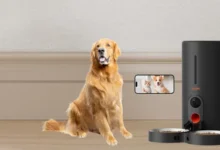 Automatic Pet Feeders