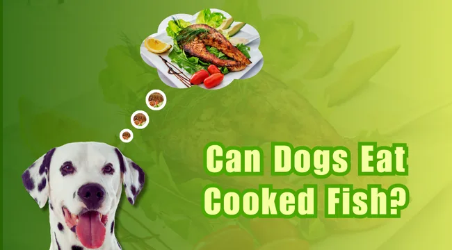 Can Dogs Eat Cooked Fish?