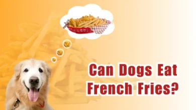 Can Dogs Eat French Fries?