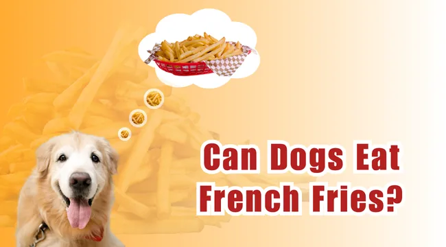 Can Dogs Eat French Fries?