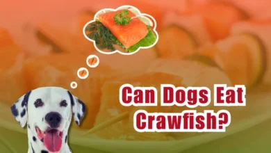 Can Dogs Eat Raw Fish