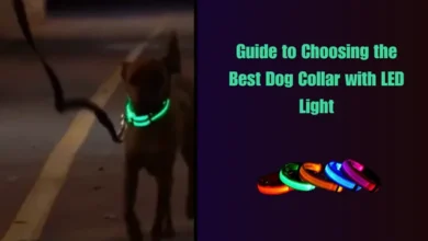 Dog Collar with LED Light