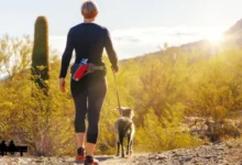 Dog Parks and hiking safety off