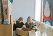 Guide to Keeping Your Dog Happy During a Move