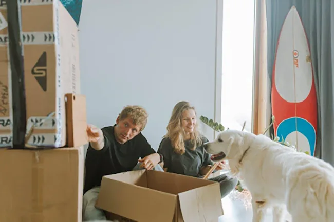 Guide to Keeping Your Dog Happy During a Move