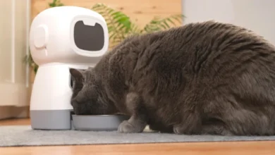 automatic pet feeder